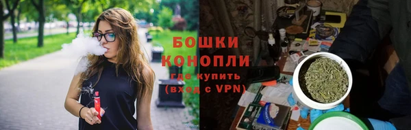стафф Няндома
