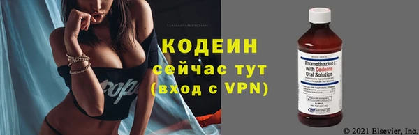apvp Нягань