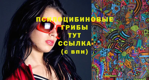 стафф Няндома